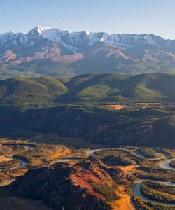 Местный пейзаж