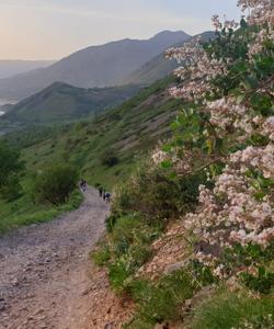 Пеший поход по Узбекистану