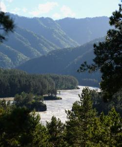 Тур на Алтай