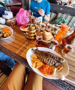 форелевое хозяйство