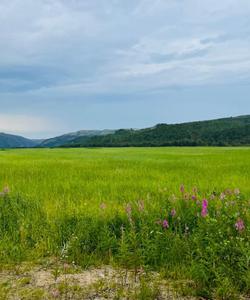 Тур на Кольский полуостров