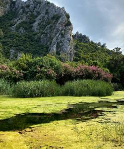 Природа Турции