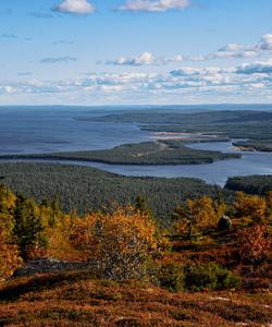 Поход по национальному парку Паанаярви