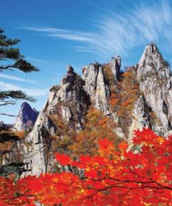 Южная Корея