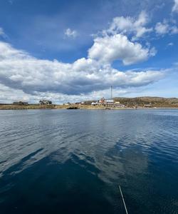 Местная природа