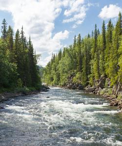 Поход по плато Путорана