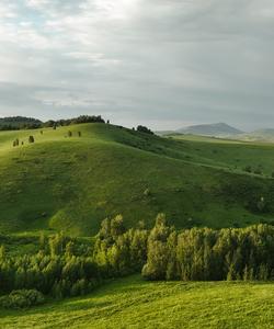 Конный тур на Алтае