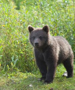 Тур на плато Кваркуш