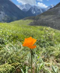 Долина семи озер, Алтай