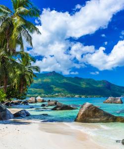 Пляж на Сейшельских островах