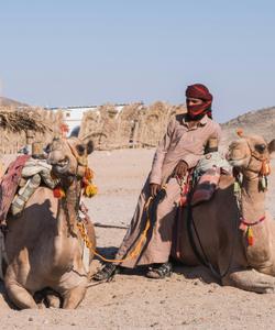 Поход по пустыне Синай