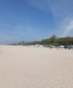 Тур в Калининградскую область