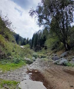 горная тропа в Казахстане