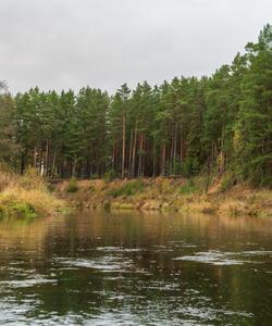 сплав по реке Осуге