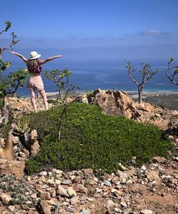 Остров Сокотра