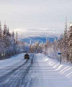 Тур по Кольскому полуострову
