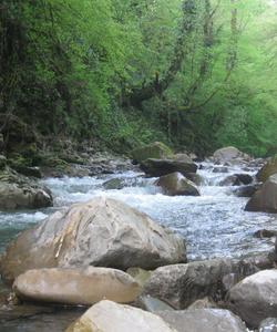 Треккинг в долине реки Шахэ