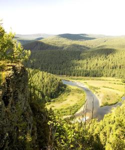 Местный пейзаж