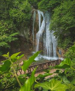 Местный пейзаж