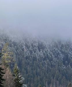 Ретрит на Архызе