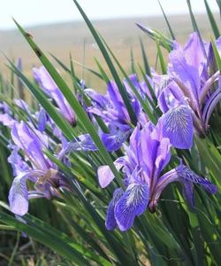 Тур в Хакасию