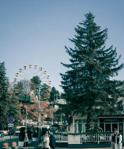 Владикавказ