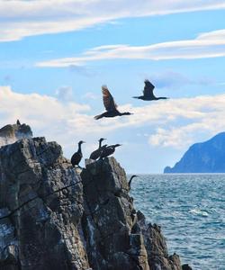 Круиз в бухту Русскую