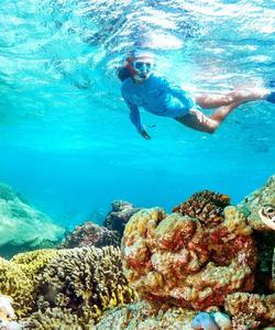 Дайвинг на Андаманских островах