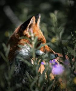 Джип-тур на полуострова Средний и Рыбачий