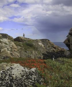 Полуостров Немецкий