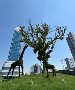 Парк Tashkent City