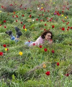 поля тюльпанов в Калмыкии