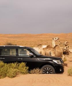 Пустыня Вахиба