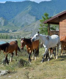 Местные пейзажи
