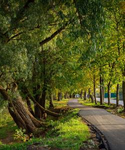 Старая Русса