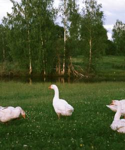 Тур по Ивановской области