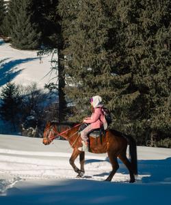Конная прогулка в Киргизии