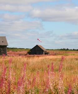 Тур по селам Архангельской области