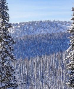 Поднебесные Зубья зимой