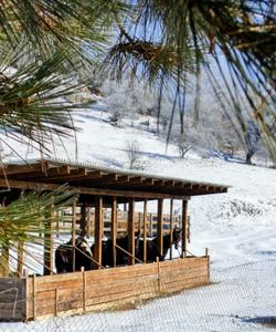 зимняя природа Кавказа