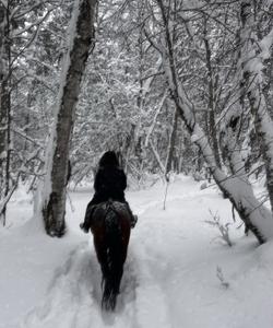 Конная прогулка в Архызе