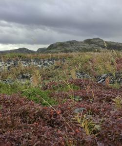 Терский берег