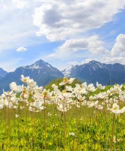 Баргузинский хребет