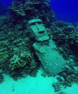 Дайвинг на острове Пасхи