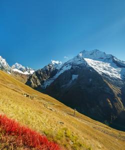 Активный тур в Домбай 