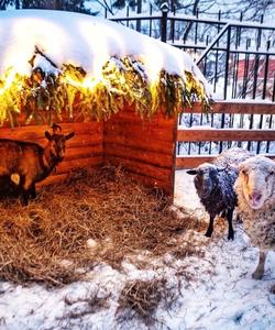 Малиновка хутор-музей Печоры