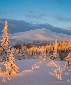 Местные пейзажи