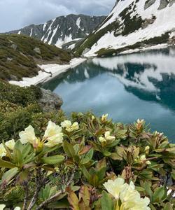 Природа Архыза