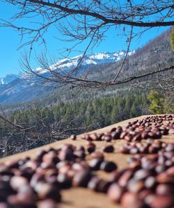 Зимний тур на Байкал
