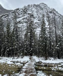 Зимний тур на Алтай